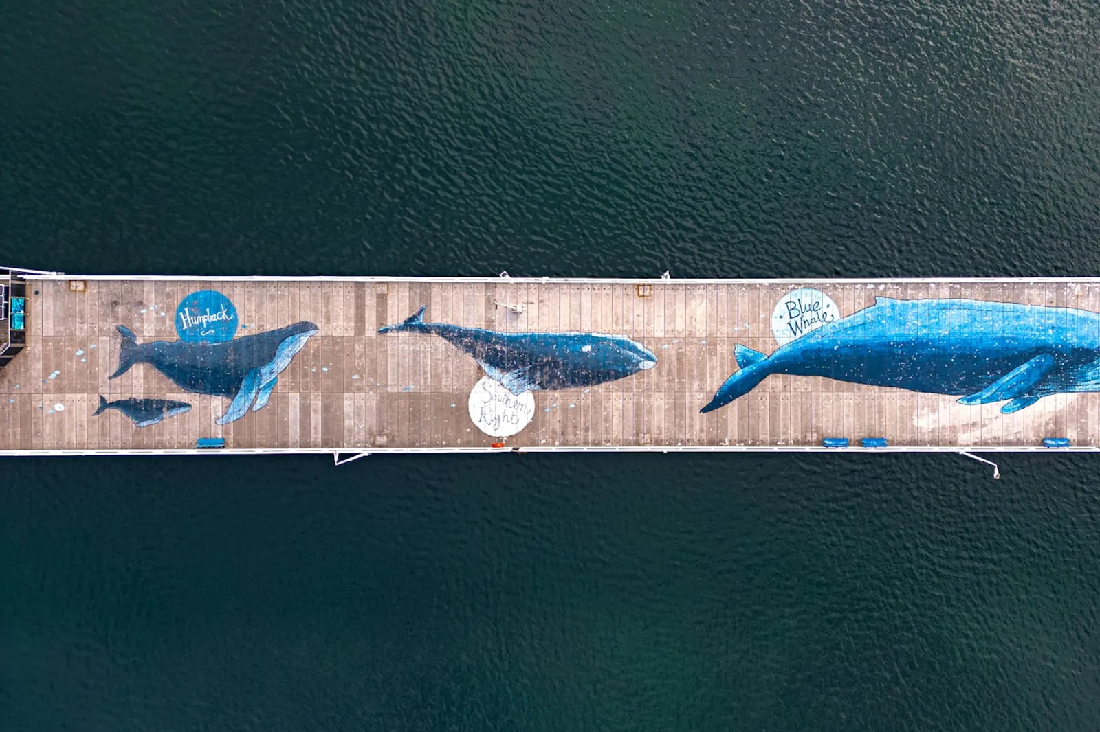 Aerial view of the Busselton Jetty over Geographe Bay, Western Australia